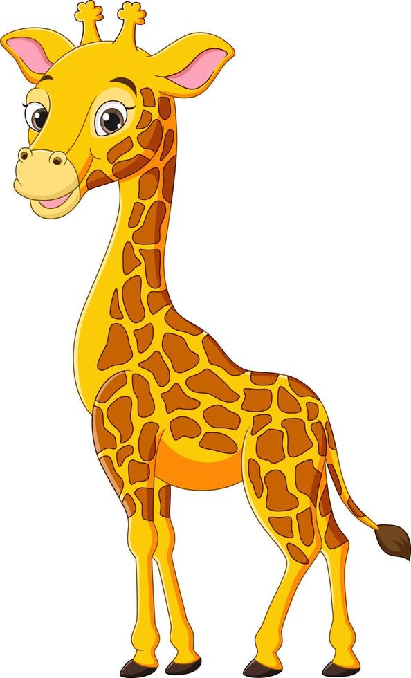 dessin animé mignon girafe sur fond blanc vecteur