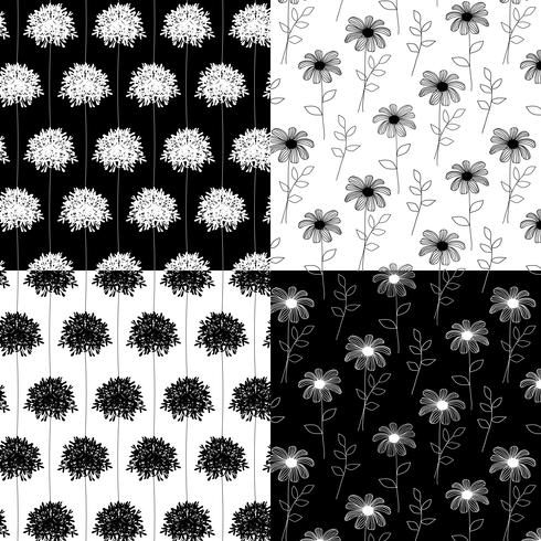 motifs floraux botaniques dessinés à la main blanche et noire vecteur