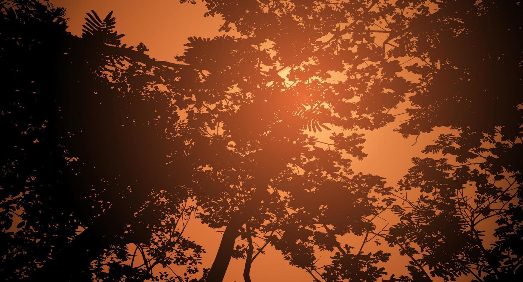 coucher de soleil dans la forêt, beau paysage, grand soleil, silhouette de la forêt vecteur