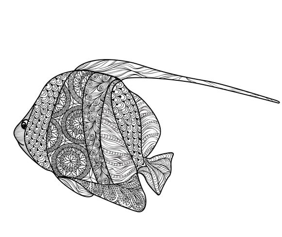 Poisson isolé avec motif ornemental. Illustration de la vie marine Doodle vecteur