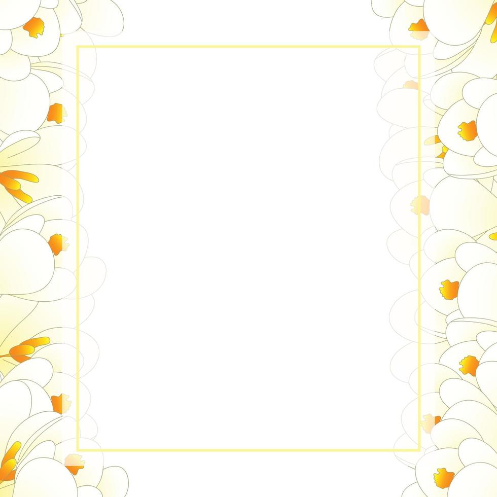 bordure de carte de bannière de fleur de crocus blanc vecteur