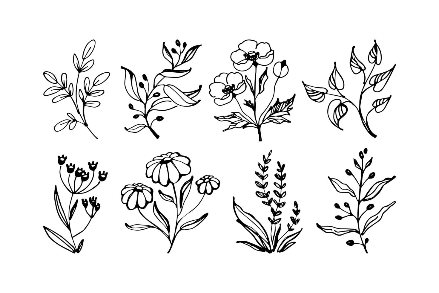 ensemble de vecteur floral dessiné à la main avec des feuilles, des fleurs et des branches. collection de croquis floraux. illustration vectorielle. appartement.