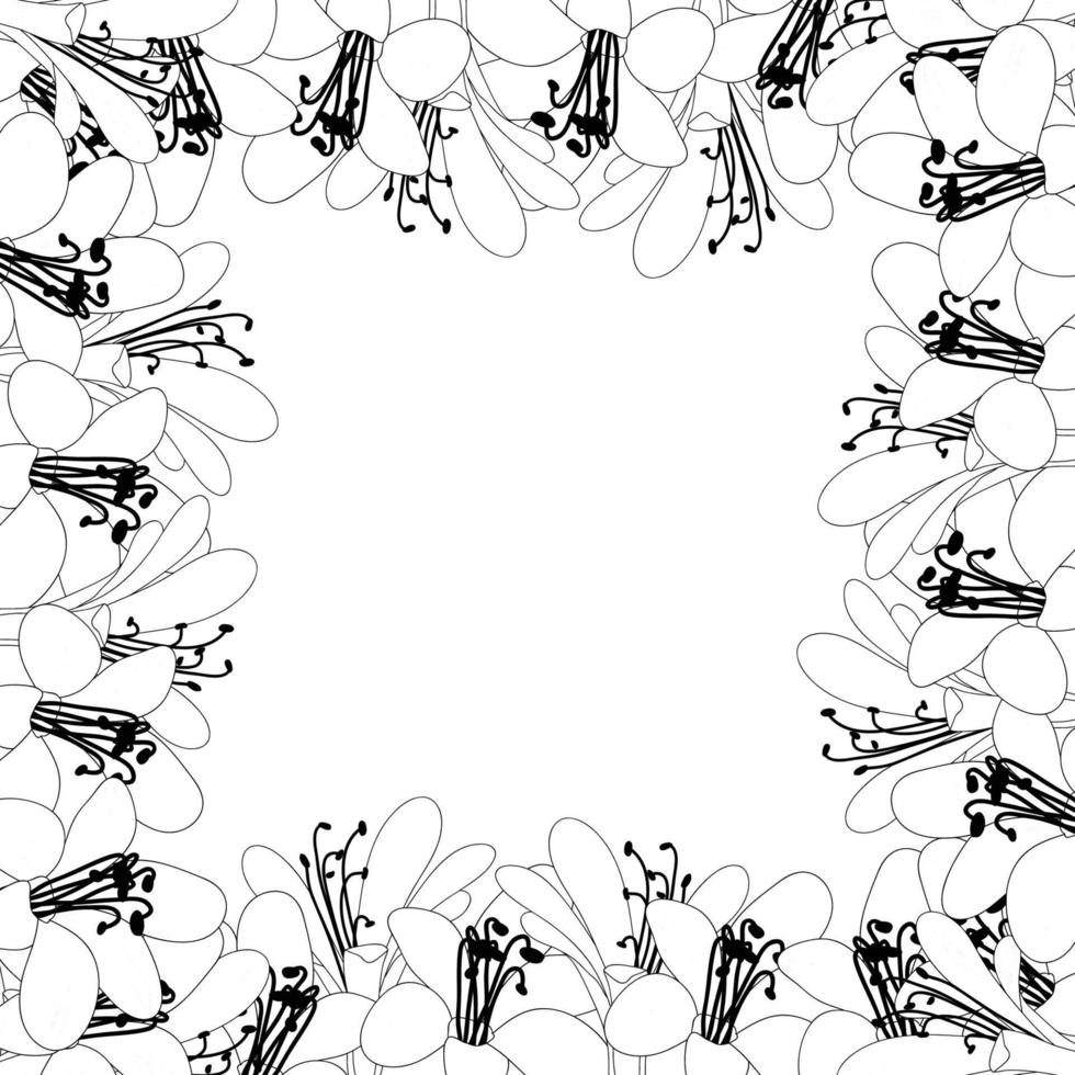 bordure de contour de fleur d'agapanthe vecteur