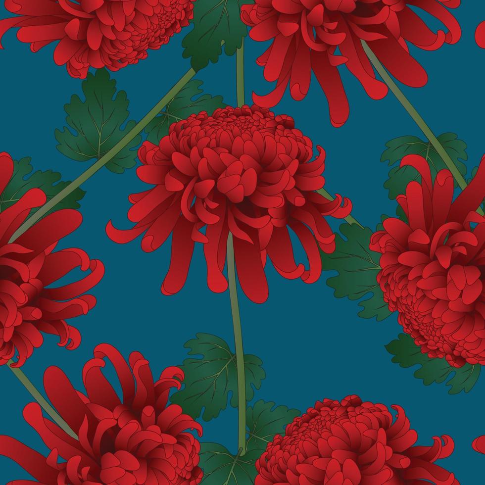 fleur de chrysanthème rouge sur fond bleu indigo vecteur