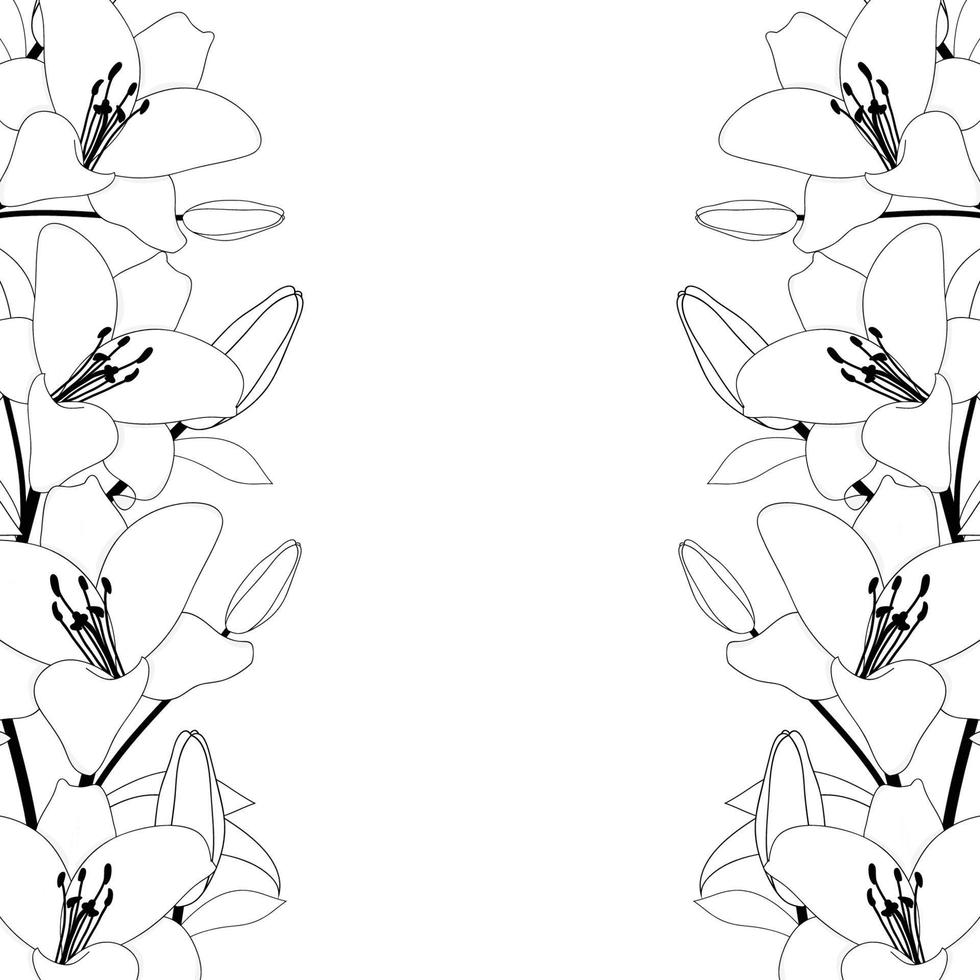 contour de bordure de lis sur fond blanc vecteur