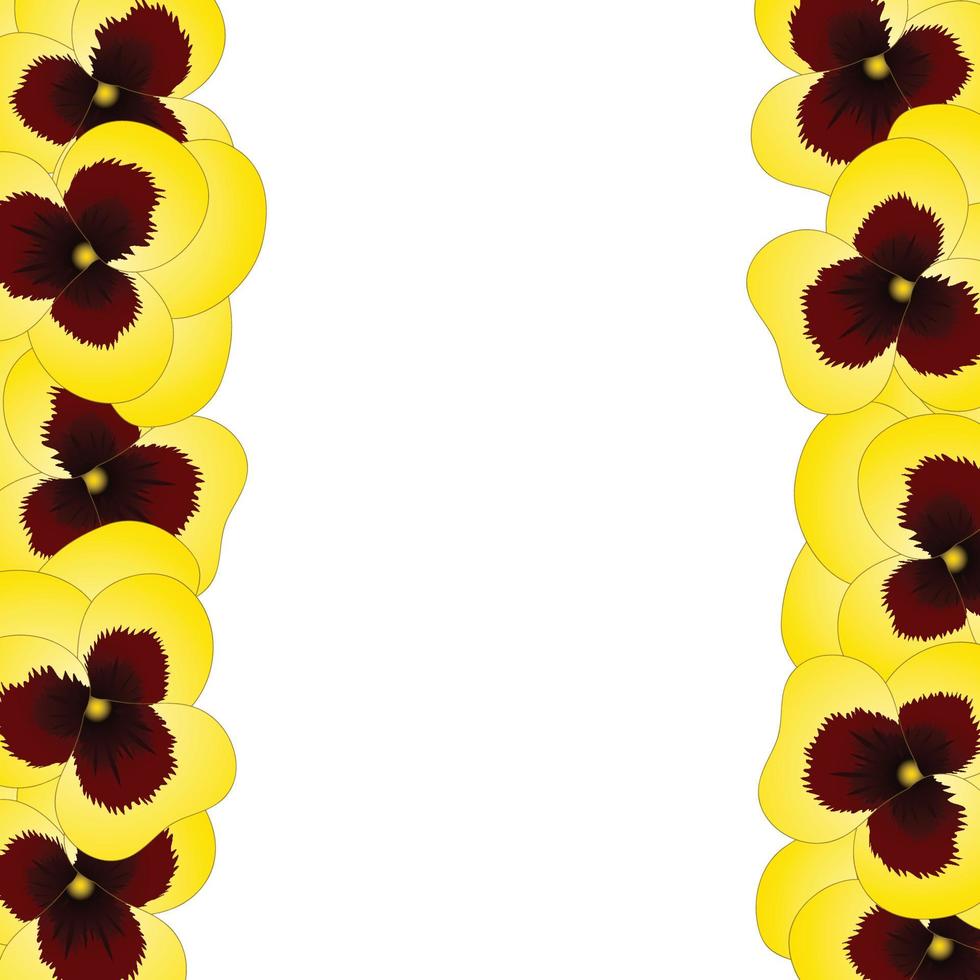 bordure de fleurs de pensée de jardin alto jaune. vecteur