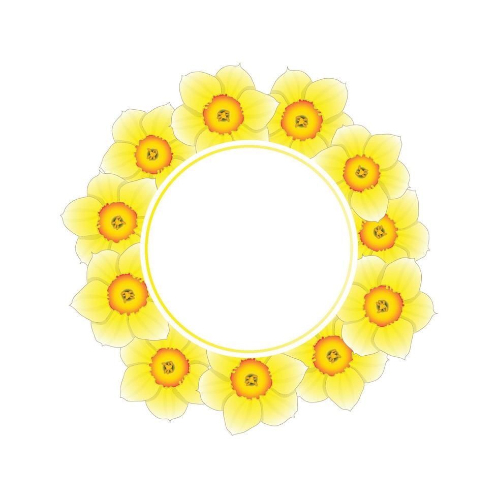jonquille jaune - couronne de bannière de fleur de narcisse vecteur