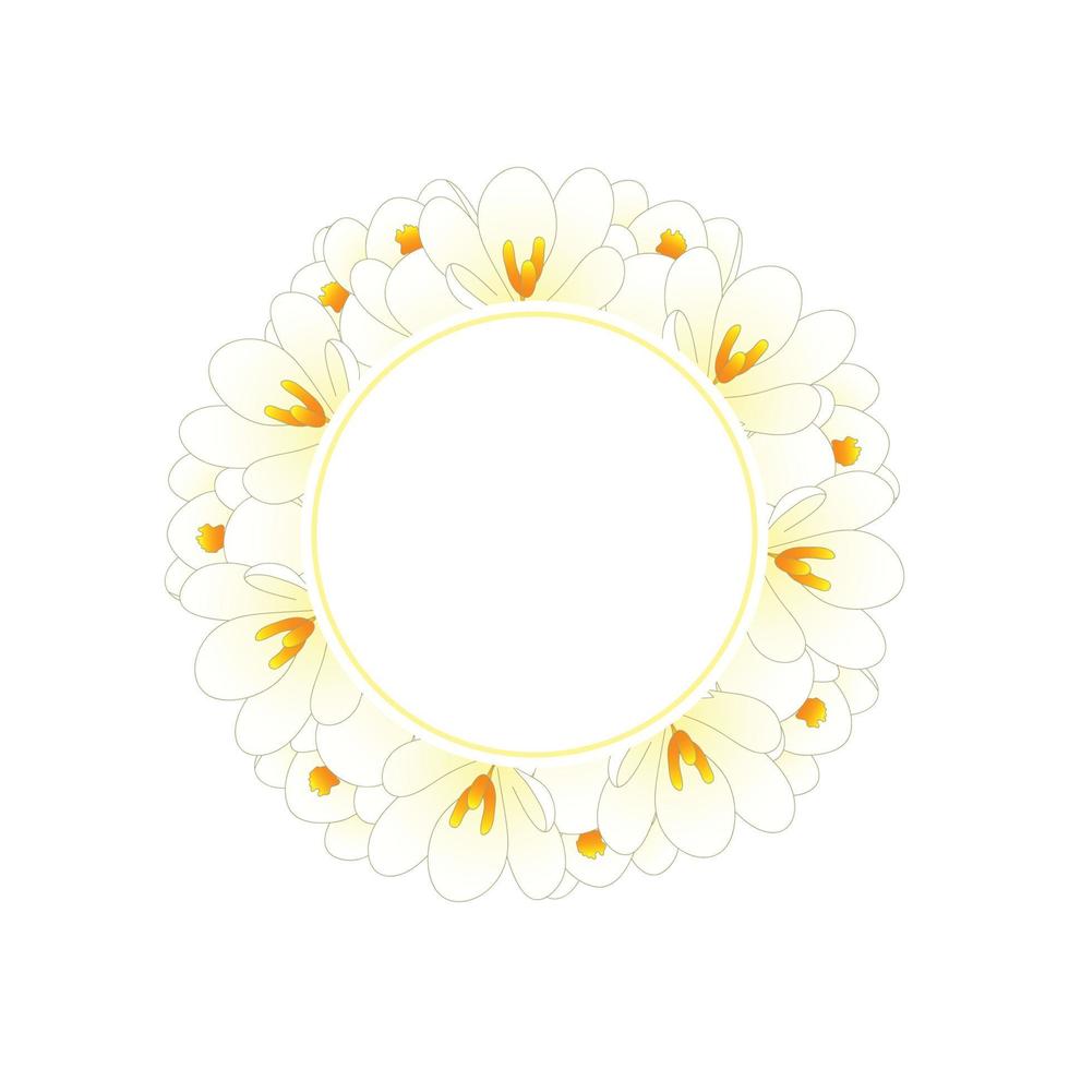 couronne de bannière de fleur de crocus blanc vecteur