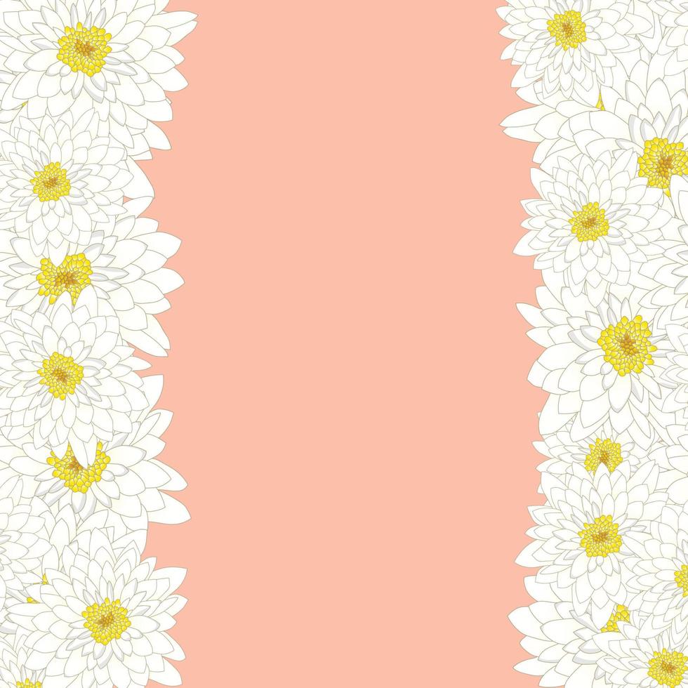 bordure de chrysanthème blanc vecteur