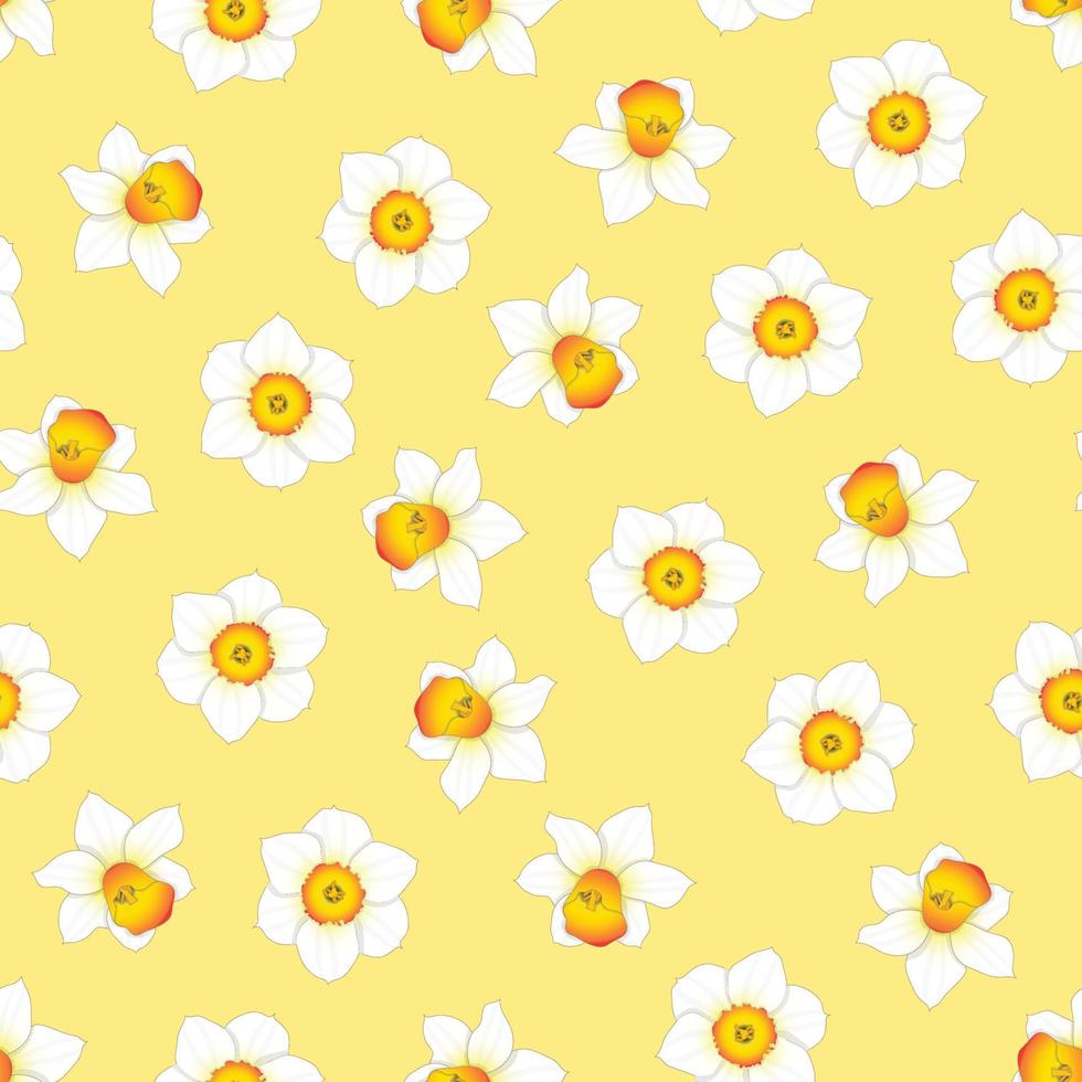 Jonquille blanche - fleur de narcisse sur fond jaune vecteur