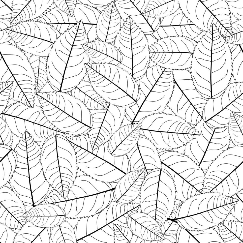 contour des feuilles de camélia sur fond blanc vecteur