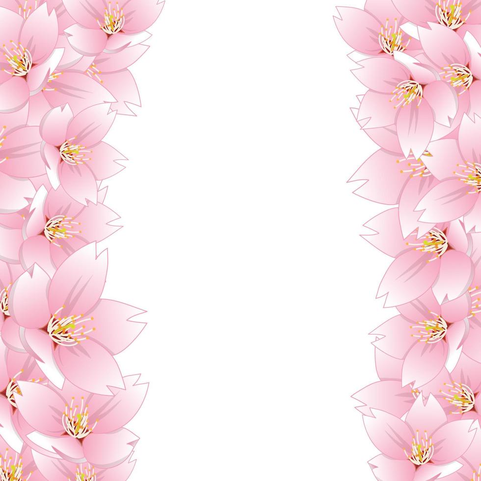 bordure de fleurs de cerisier sakura vecteur