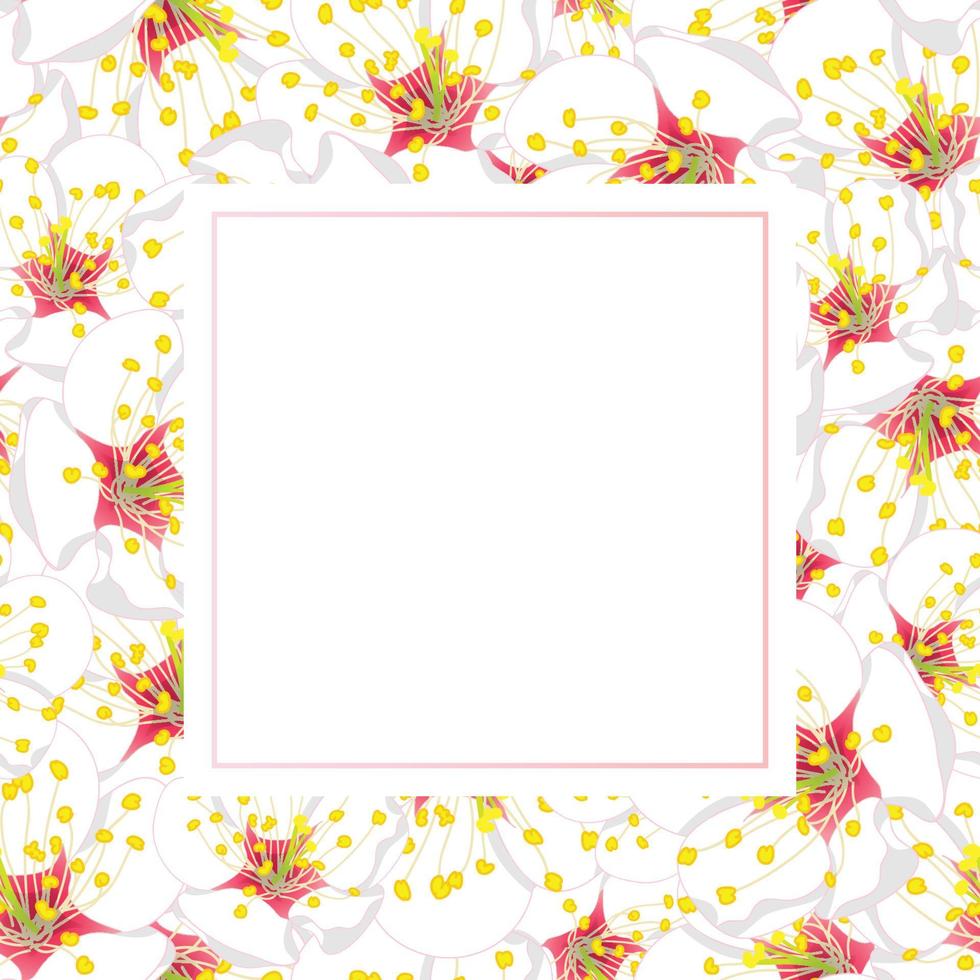 carte de bannière de fleur de prunier blanc vecteur