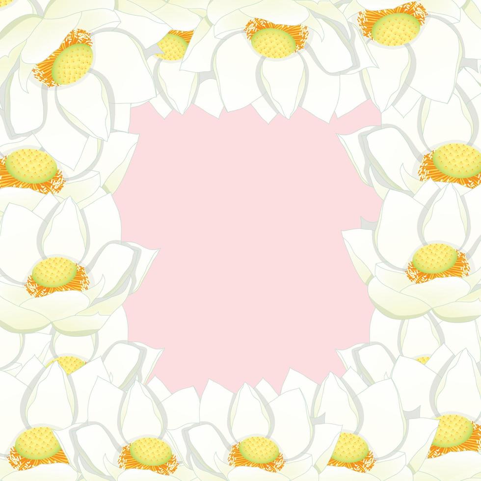 bordure de lotus indien blanc2 vecteur