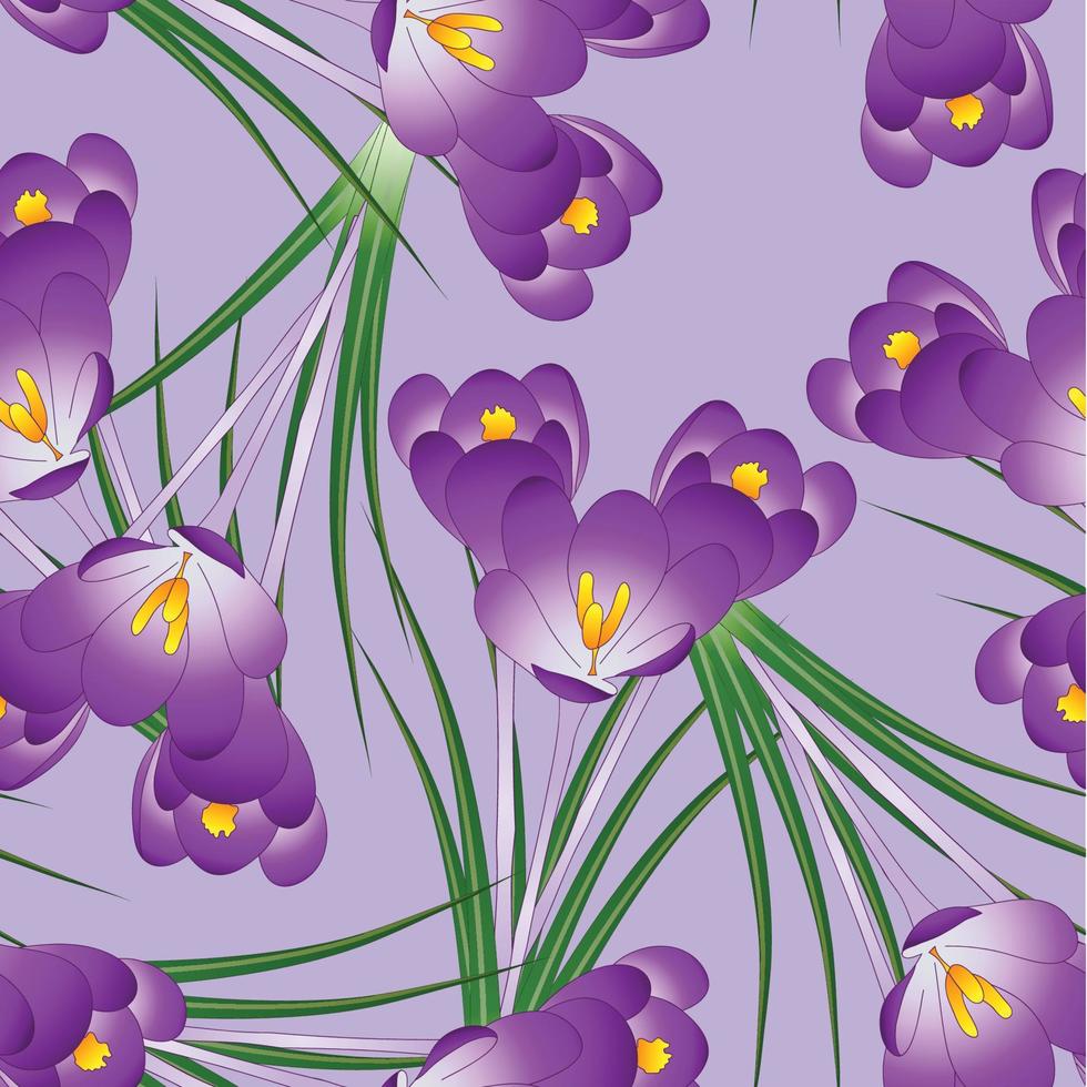 fleur de crocus violet sur fond violet clair vecteur