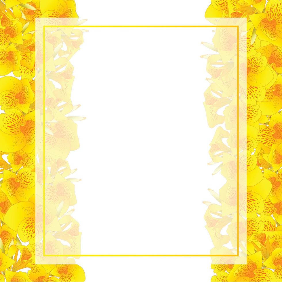 bordure de carte de bannière jaune canna lily vecteur