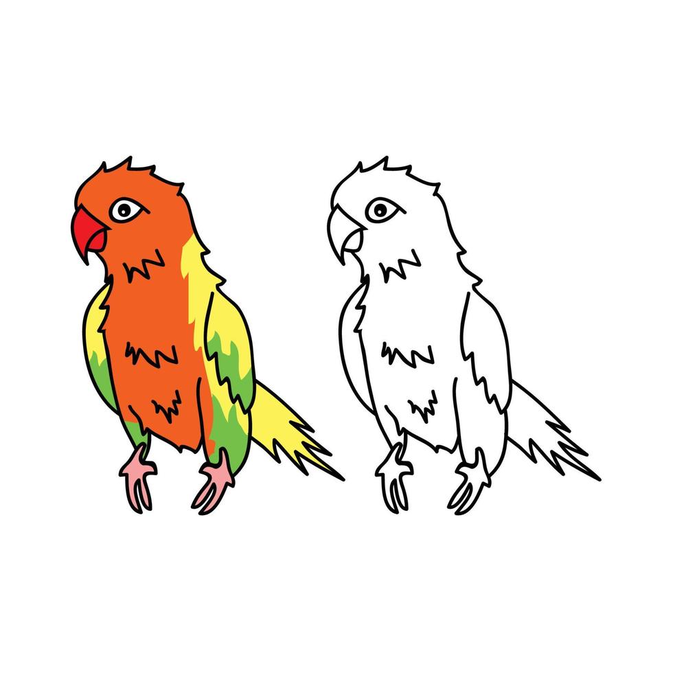 vecteur de perroquet coloré