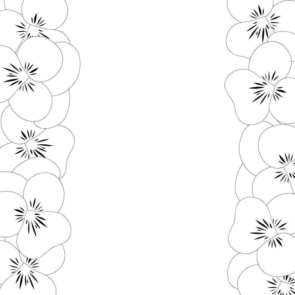 contour de bordure de fleur de pensée vecteur