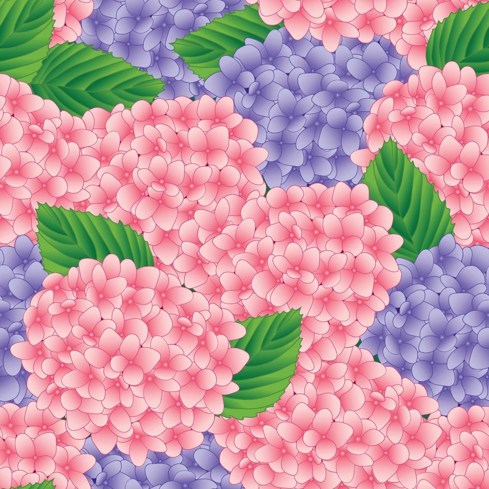 fond transparent de fleur d'hortensia rose et violet. illustration vectorielle vecteur