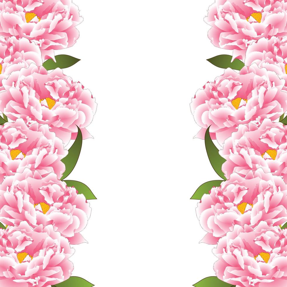 bordure de fleurs de pivoine rose vecteur