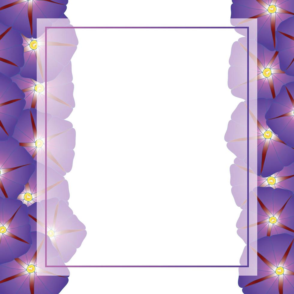 bordure de carte de bannière de fleur de gloire du matin violet vecteur