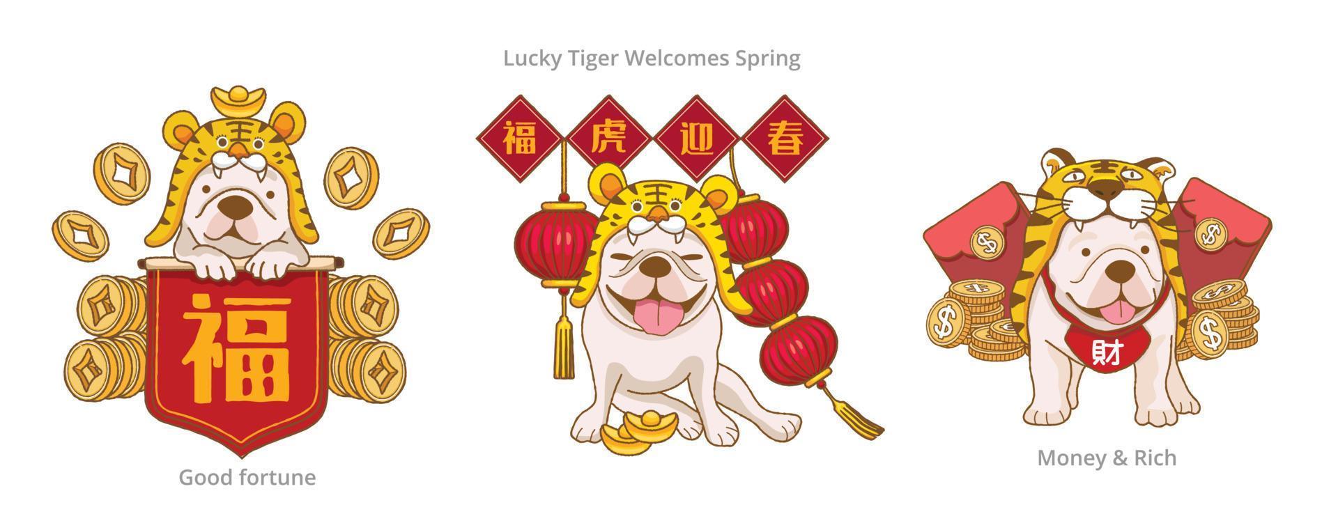 joli bouledogue français vêtu d'un costume de tigre et avec les distiques de printemps rouges, dites bénédictions et tigre chanceux accueillez le printemps pour célébrer le nouvel an chinois vecteur