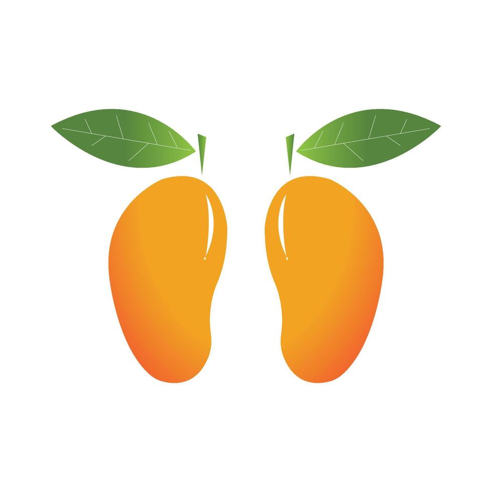 conception d'illustration d'icône de vecteur de fruit de mangue