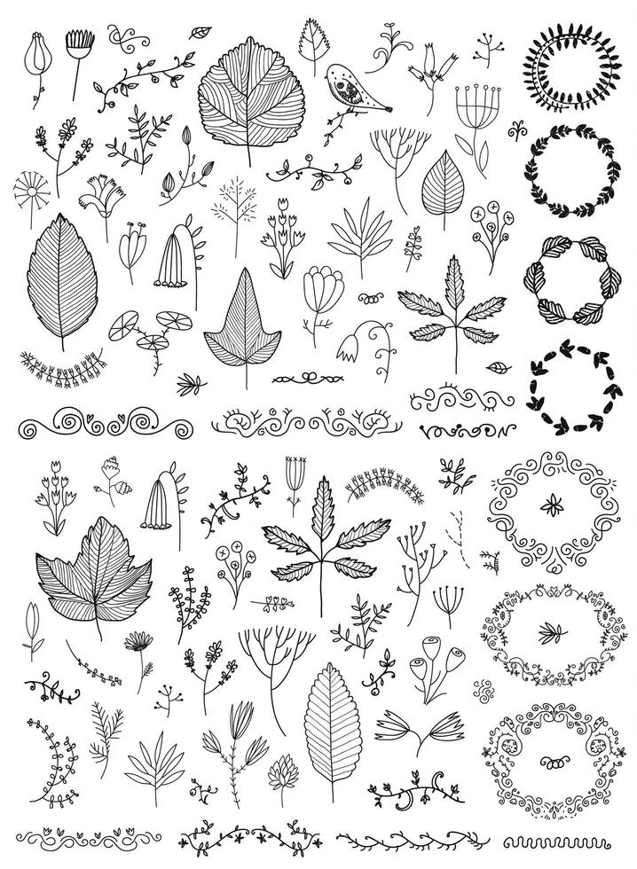 ensemble d'images vectorielles de fleurs de griffonnage dessinées à la main, de fleurs, de feuilles. dessin au trait. collection graphique avec des herbes des champs fantastiques. éléments botaniques pour la conception. couronnes, lauriers, diviseurs vecteur