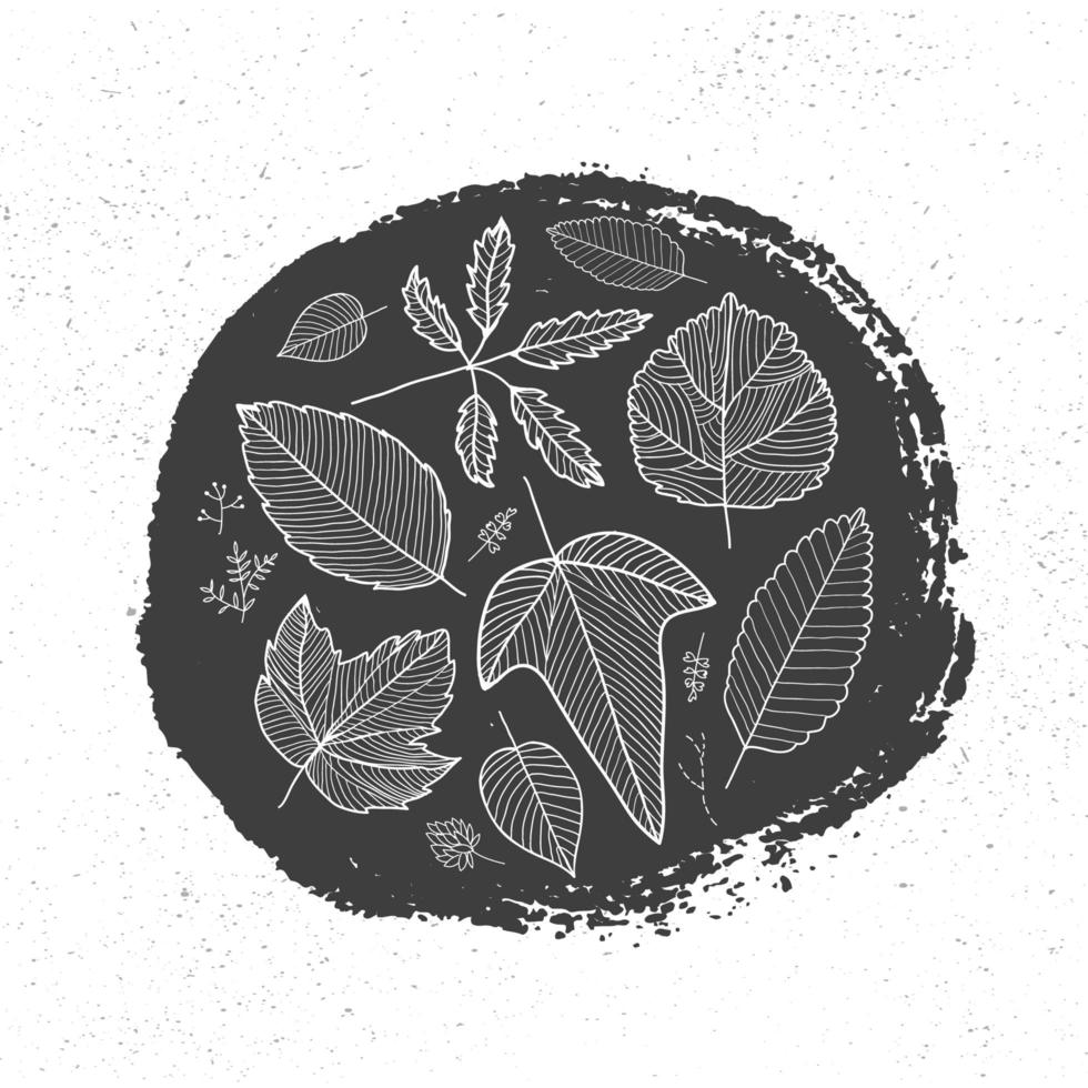 cercle d'encre dessiné à la main de vecteur et feuilles d'automne linéaires dedans.