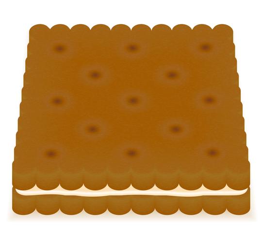 illustration vectorielle biscuit biscuit biscuit vecteur