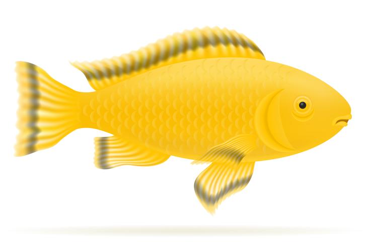 illustration vectorielle de poissons d&#39;aquarium vecteur