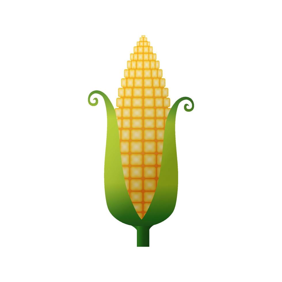 épi de maïs mûr doré doux en style cartoon, illustration vectorielle vecteur