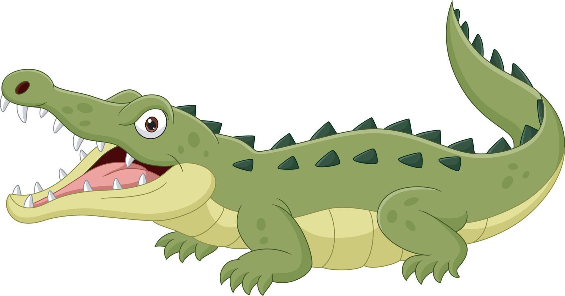 Crocodile de dessin animé isolé sur fond blanc vecteur