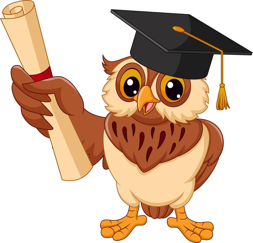 hibou de dessin animé portant une casquette de graduation tenant un diplôme vecteur