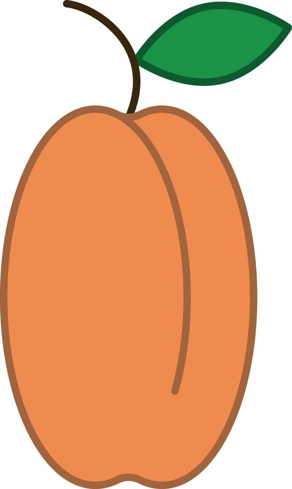 icône de contour rempli d'abricot vecteur de fruits