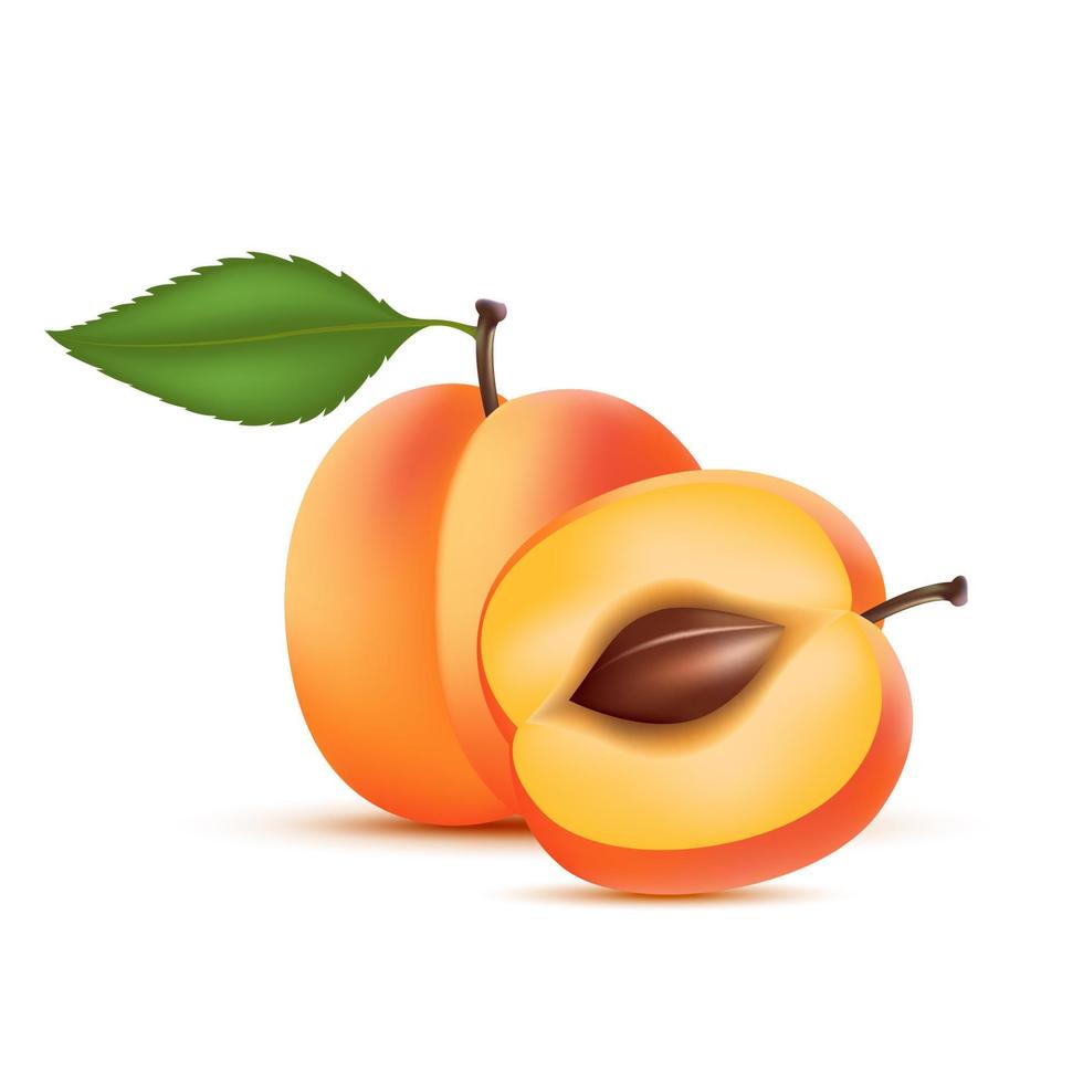 pêche orange avec des tranches de pêche et des feuilles. vitamines, fruits alimentaires sains. sur fond blanc. illustration vectorielle 3d réaliste. vecteur