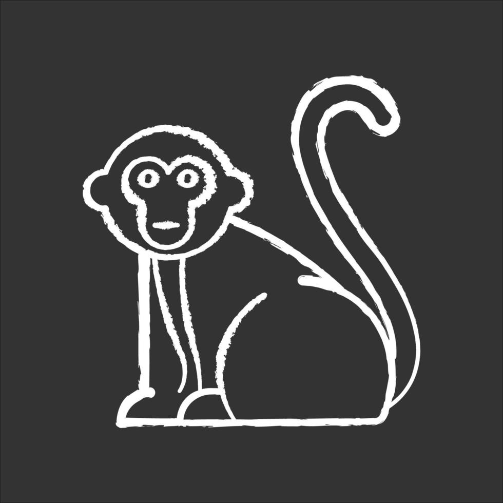 icône de craie de singe. animaux des pays tropicaux, mammifères. voyage au zoo indonésie. explorer la faune exotique. primate assis. visiter la faune de la forêt balinaise. illustration de tableau vectoriel isolé