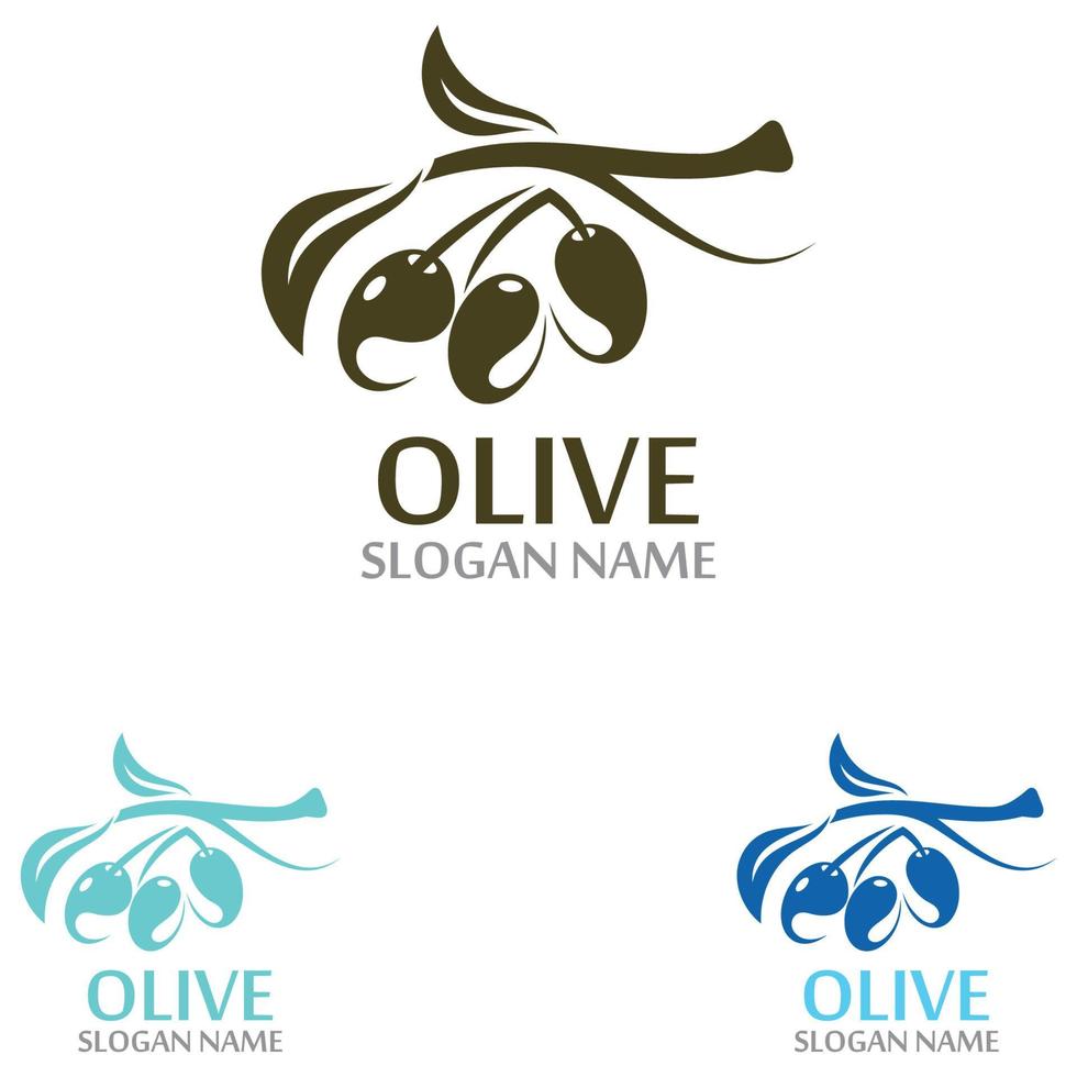 huile d'olive logo modèle icône conception santé fruits légume vecteur