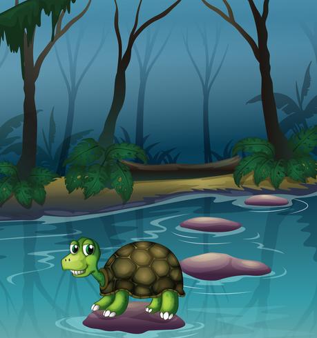 Une tortue au lac vecteur