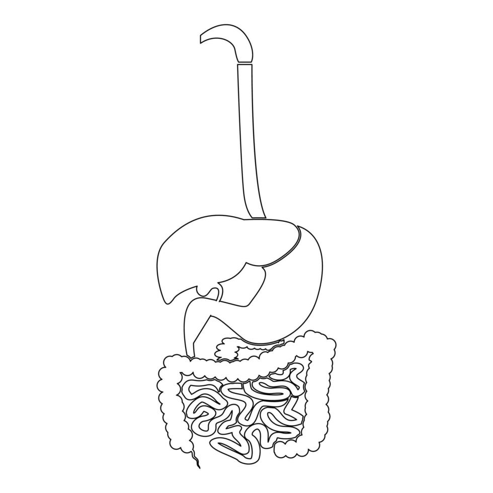 icône du système digestif illustration couleur noire style plat image simple vecteur