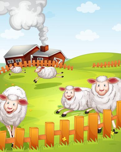 moutons à la ferme vecteur