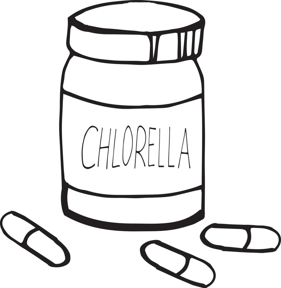 bouteille et capsules de chlorella dessinées à la main dans un style doodle. élément unique pour la conception. super aliment, algues, pharmacie médecine vecteur