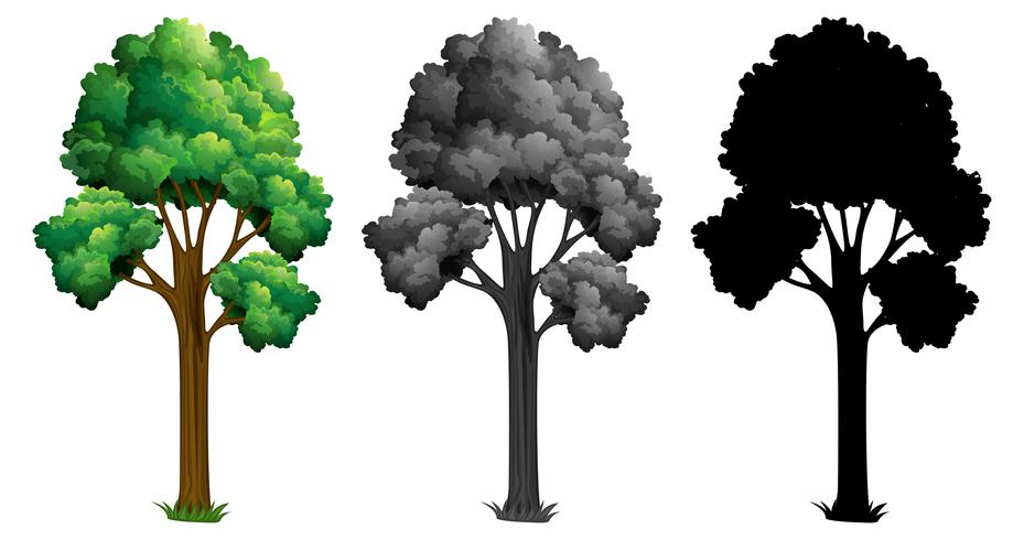 Ensemble de différents arbres vecteur