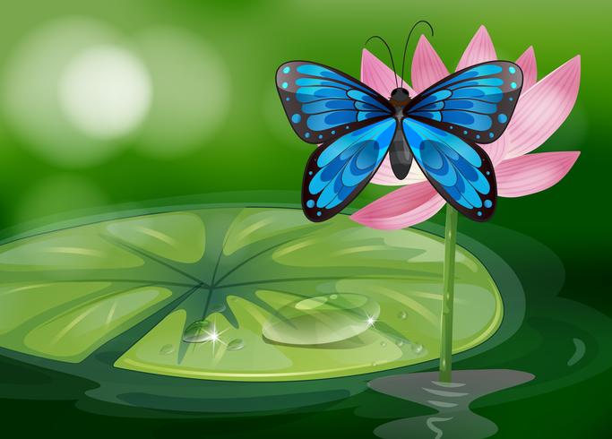 Un papillon bleu et la fleur rose à l&#39;étang vecteur