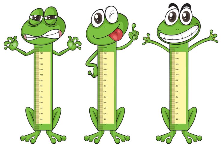 Tableau de mesure de la hauteur avec des personnages de grenouilles vecteur