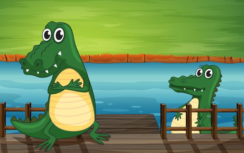 Crocodiles dans le pont vecteur