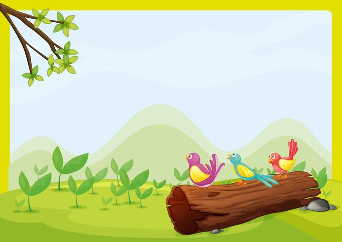Oiseaux assis sur un bois sec vecteur