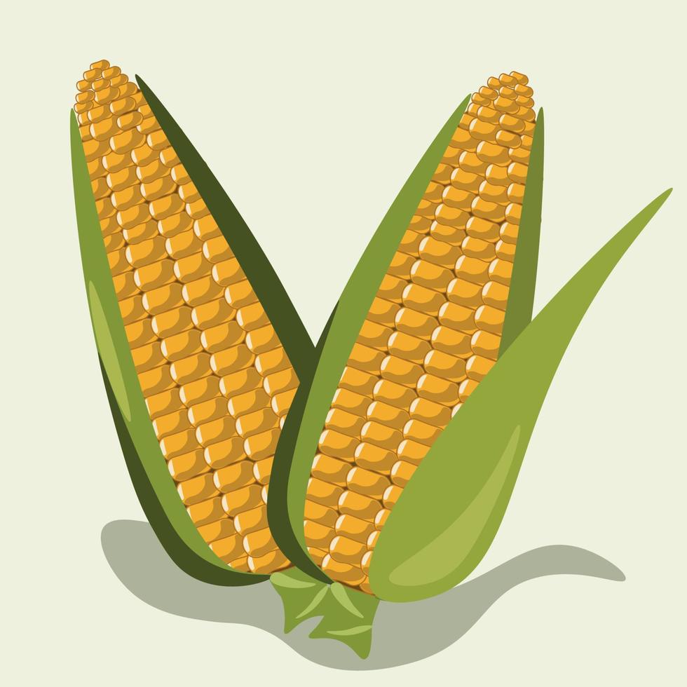illustration de graines de maïs sucré vecteur