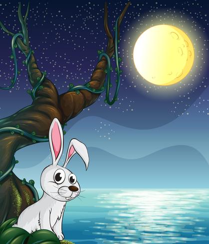 Un lapin et la pleine lune brillante vecteur