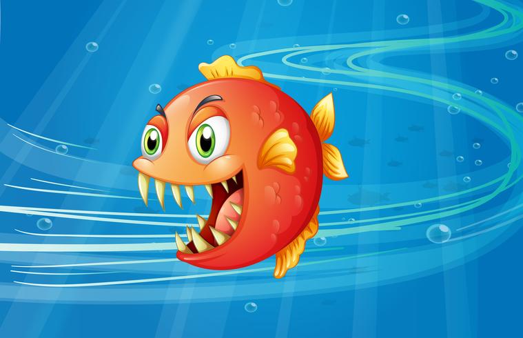 Un piranha rouge sous la mer vecteur
